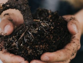 Skúsili ste už v práci dobrovoľnícto?